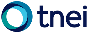 TNEI Logo